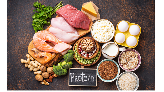 Protein Power: Comparing Animal and Plant Protein Sources for Optimal Health