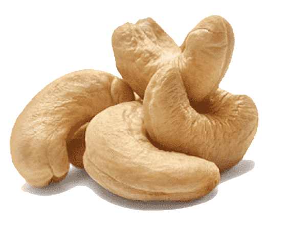 cashew nut or kaju nut