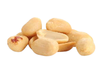 peanuts or groundnuts